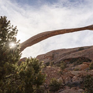 Landscape Arch with sunburst through tree, Arches National Park, Utah
