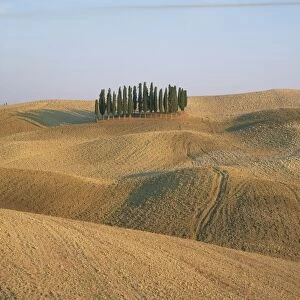Landscape of bare fields and cypress trees in Tuscany