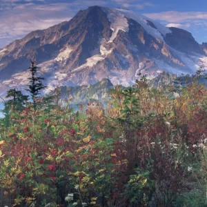 Landscape, Mount Rainier National Park