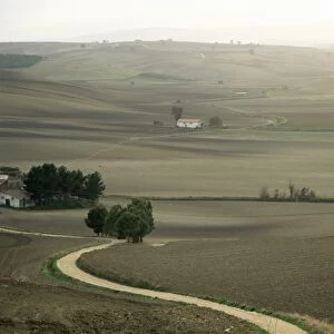 Landscape near Larino