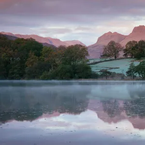 Langdale Pikes at dawn from Loughrigg Tarn, Lake District, Cumbria, England, United