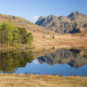 The Langdale Pikes reflected in Blea Tarn, above Little Langdale, Lake District National Park, Cumbria, England, United Kingdom, Europe