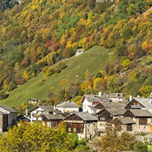 Larch trees and woods framing the village of Soglio in autumn, Val Bregaglia