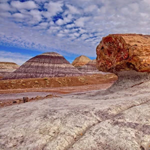 A large petrified log along the Blue Mesa Trail in Petrified Forest National Park