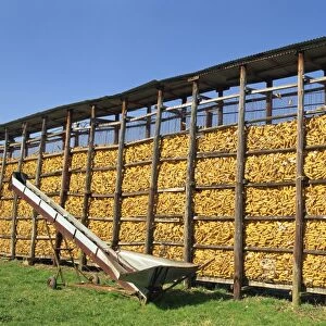 Large wire cages of a maize store on a farm near Chambery, Savoie (Savoy) in the Rhone Alpes