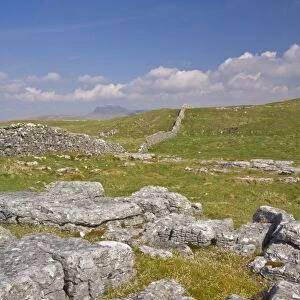 Limestone pavement and dry stone wall above Settle, Yorkshire Dales National Park
