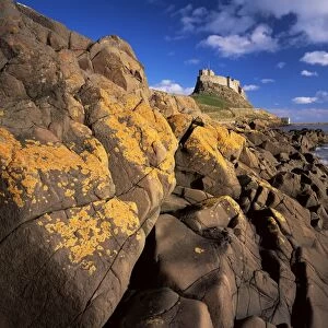 Lindisfarne Castle, Holy Island, Northumberland, England, United Kingdom, Europe