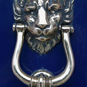 Lion polished brass door knocker, Georgian house, Merrion Square, Dublin