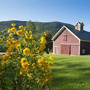 Little farm in the mountains in Dorset, Vermont, New England, United States of America, North America