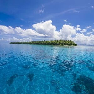 Little islet in the Ant Atoll, Pohnpei, Micronesia, Pacific