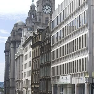 The Liver Building, one of the Three Graces, Liverpool, Merseyside, England