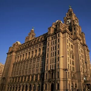 Liver Building, Liverpool, Merseyside, England, United Kingdom, Europe