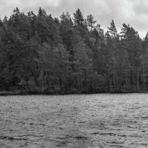 Loch an Eilein, Aviemore, Cairngorms National Park, Scotland, United Kingdom, Europe