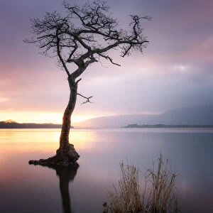 Loch Lomond at Sunset, Scotland, UK
