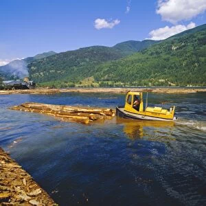 Logs for processing, British Columbia, Canada