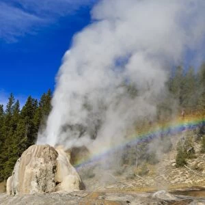 Lone Star Geyser erupts and creates rainbow, Yellowstone National Park, UNESCO World Heritage Site, Wyoming, United States of America, North America