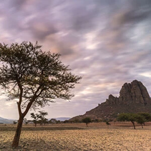 Lone trees at sunset, Gheralta Mountains, Hawzen, Tigray Region, Ethiopia, Africa