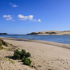 Lonely beach in the Arai-Te-Uru Recreation Reserve south end of Hokianga harbour, Westcoast Northland, North Island, New Zealand