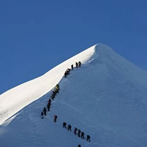 Long line of climbers on summit ridge of Mont Blanc, 4810m, Chamonix, French Alps