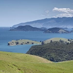 Looking north from lookout, South of Manaia, State Highway 25, Coromandel Harbour, Coromandel Peninsula, North Island, New Zealand, Pacific