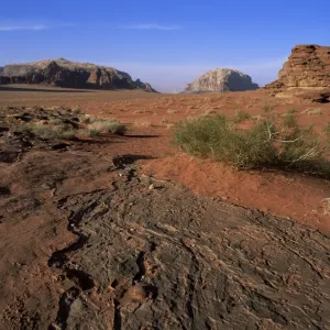 Looking north up Wadi Rum