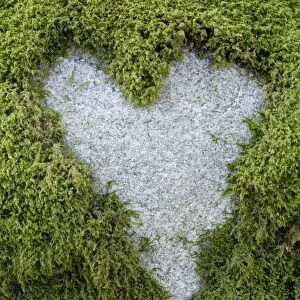 Love Heart shape in moss on granite bolder