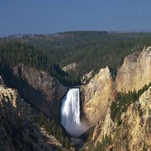 Lower Falls from Artists Point, Grand Canyon of the Yellowstone River, Yellowstone National Park, UNESCO World Heritage Site, Wyoming, United States of America, North America