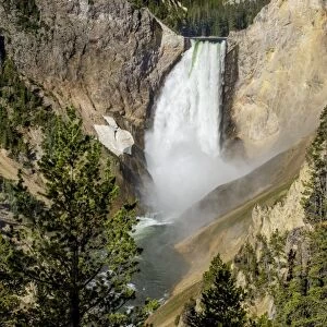 Lower Falls, Yellowstone National Park, UNESCO World Heritage Site, Wyoming, United