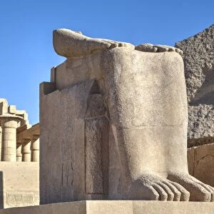 Lower remains of the Colossus of Ramses II, The Ramesseum (Mortuary Temple of Ramese II)