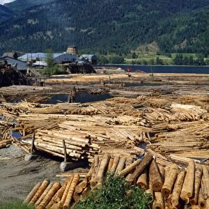 Lumber mill near Chase, British Columbia, Canada, North America