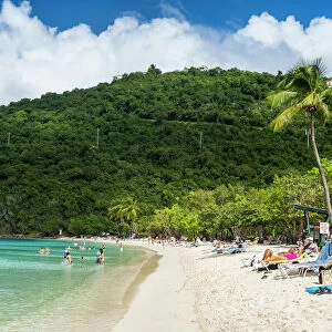 Magens Bay beach, St. Thomas, US Virgin islands, West Indies, Caribbean, Central America