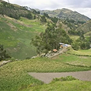 Maize fields and farm of indigenous Canari people near Inca ruins, at elevation of 3230m