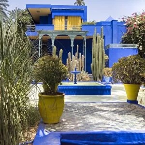 Majorelle Gardens, Marrakech, Morocco, North Africa, Africa