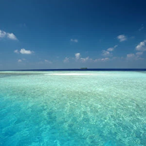 Maldives Tropical beach