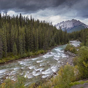 The Maligne River meandering through the Canadian Rockies, Jasper National Park