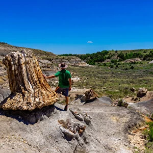 Man enjoying the view along The Petrified Forest Loop Trail inside Theodore Roosevelt