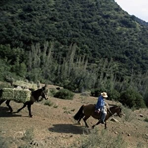 Man on horse with donkey and hay, near Las Condes, Sanatuario de la Naturaleza