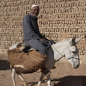A man rides his mule through the streets of Al-Qasr, Dakhla Oasis, Egypt