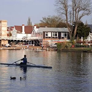 Man rowing on River Thames near Rowing Club, Marlow suspension bridge in background
