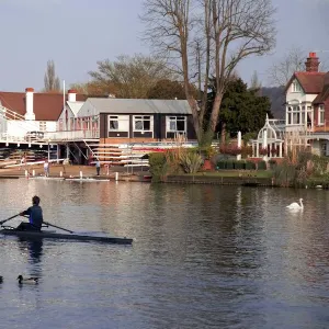 Man rowing on River Thames near Rowing Club, Marlow suspension bridge in background