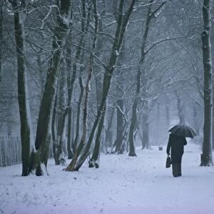 Man with umbrella and briefcase walks under bare trees in winter, with snow falling