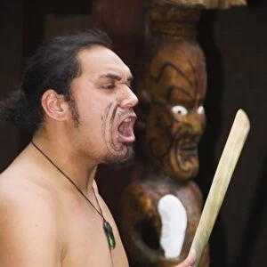 A Maori welcoming ceremony performed at a Cultural