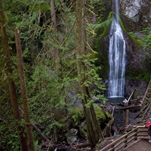 Marymere Falls, Olympic National Park, UNESCO World Heritage Site, Washington