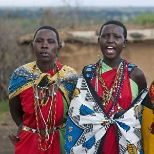 Masai women singing, Masai Mara, Kenya, East Africa, Africa
