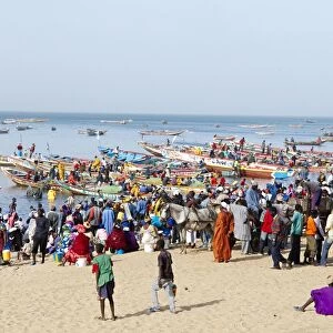 Mbour fishing harbour on the Petite Cote (Small Coast), Senegal, West Africa, Africa