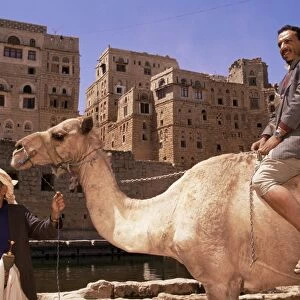Men with camel