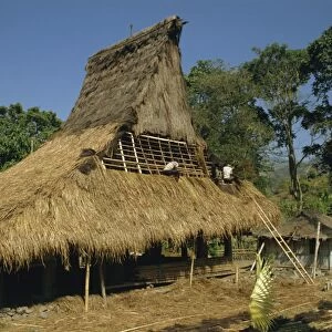 Men thatching the roof of a house near Moni