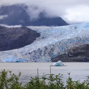 Mendenhall Glacier and Lake, with iceberg, bright blue ice, forest and mist, from Visitor Centre