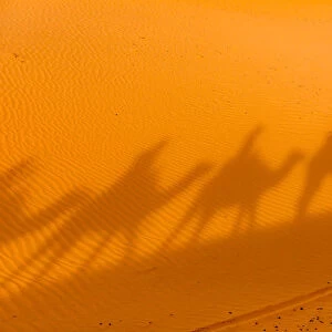 Merzouga Desert, Morocco, North Africa, Africa
