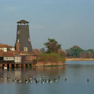 The Mill, Langstone, Hampshire, England, United Kingdom, Europe